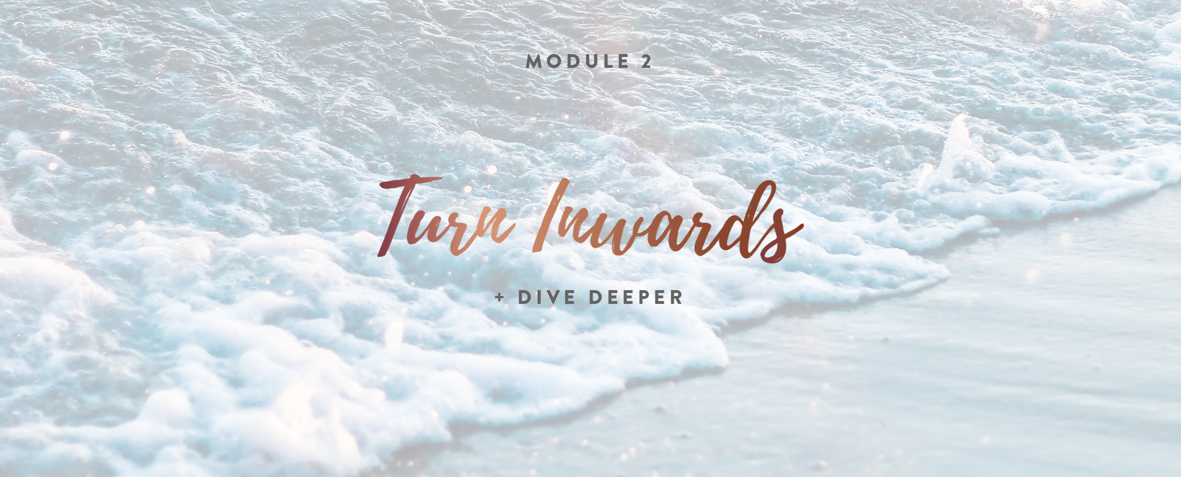 Module 2 - No Italic Text@2x