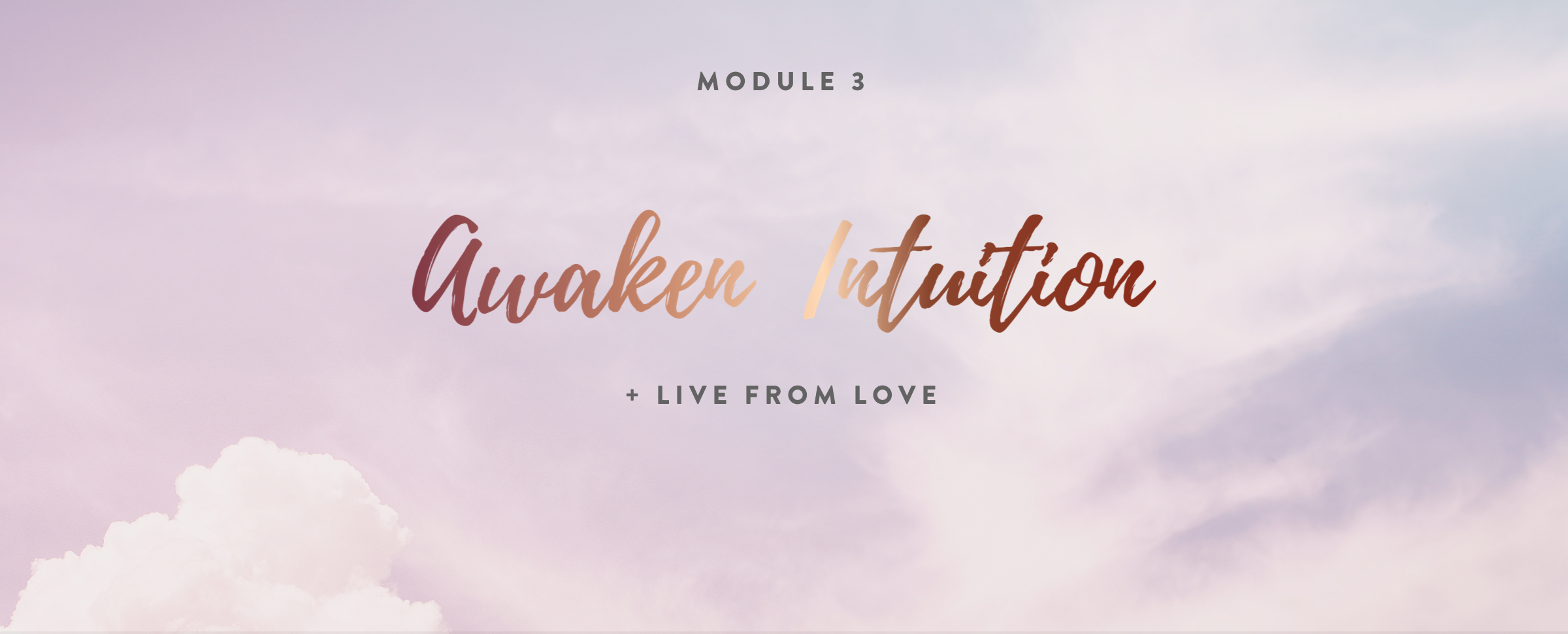 Module 3 - No Italic Text@2x