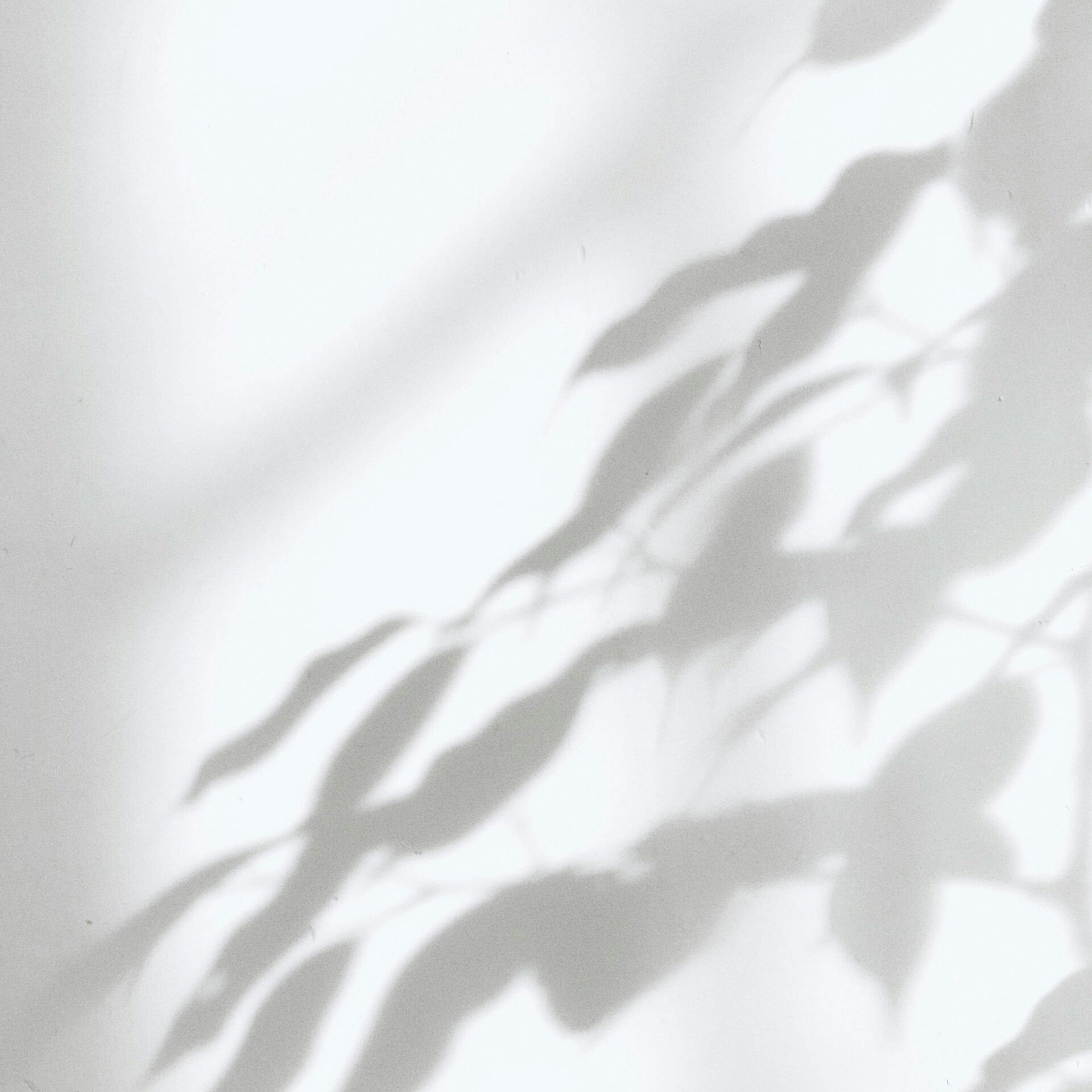 milad-fakurian-gMgNr5tsNCo-unsplash